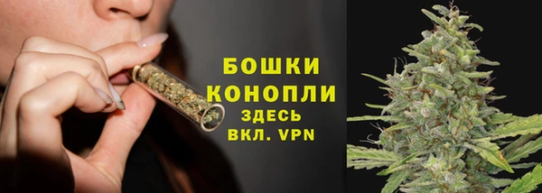 винт Горно-Алтайск