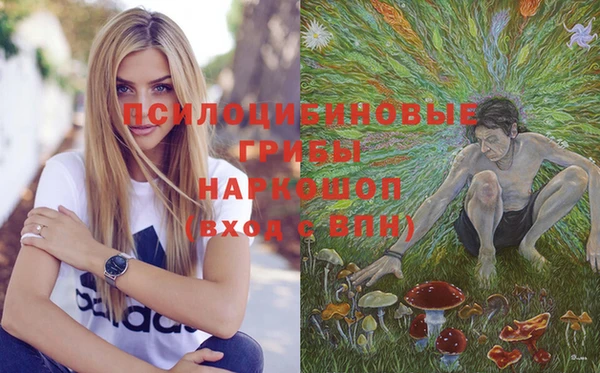 mdma Шадринск