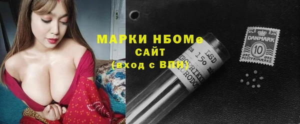 индика Вязники