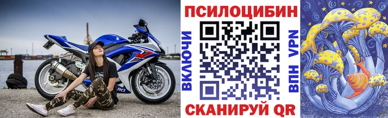 Псилоцибиновые грибы мицелий  Видное 
