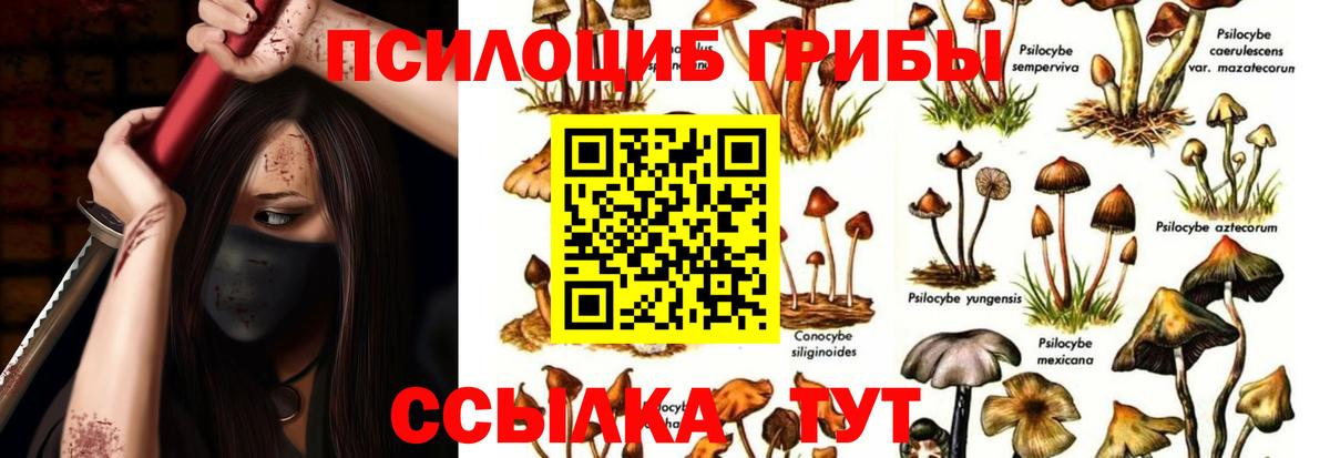Псилоцибиновые грибы Psilocybine cubensis  купить наркотики цена  Видное  Галлюциногенные грибы Cubensis  Вход с VPN 